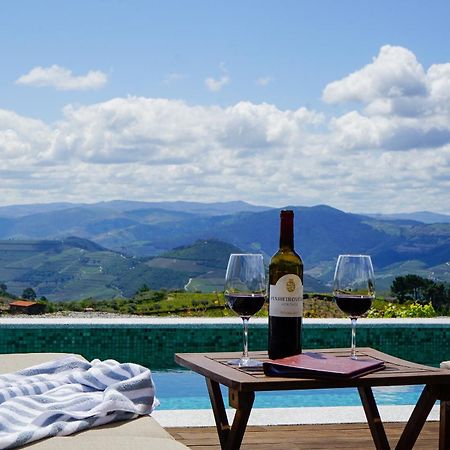 Casa Do Santo - Wine & Tourism Villa Provesende Exteriör bild