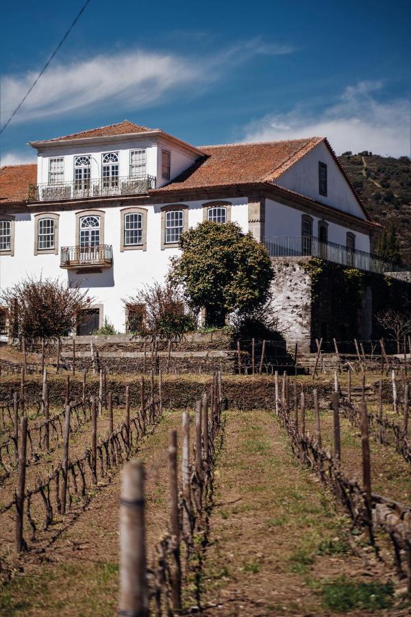 Casa Do Santo - Wine & Tourism Villa Provesende Exteriör bild