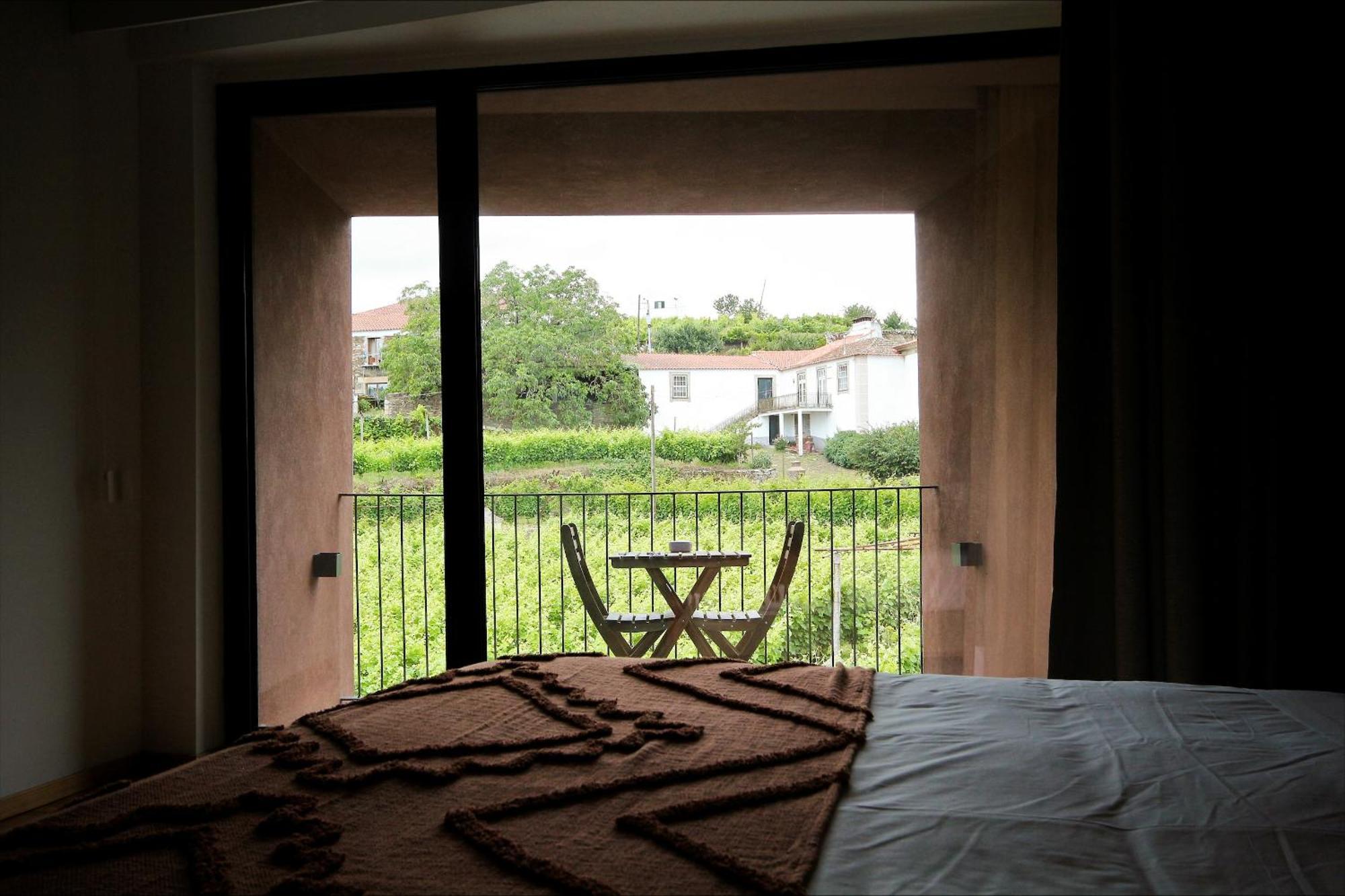 Casa Do Santo - Wine & Tourism Villa Provesende Exteriör bild