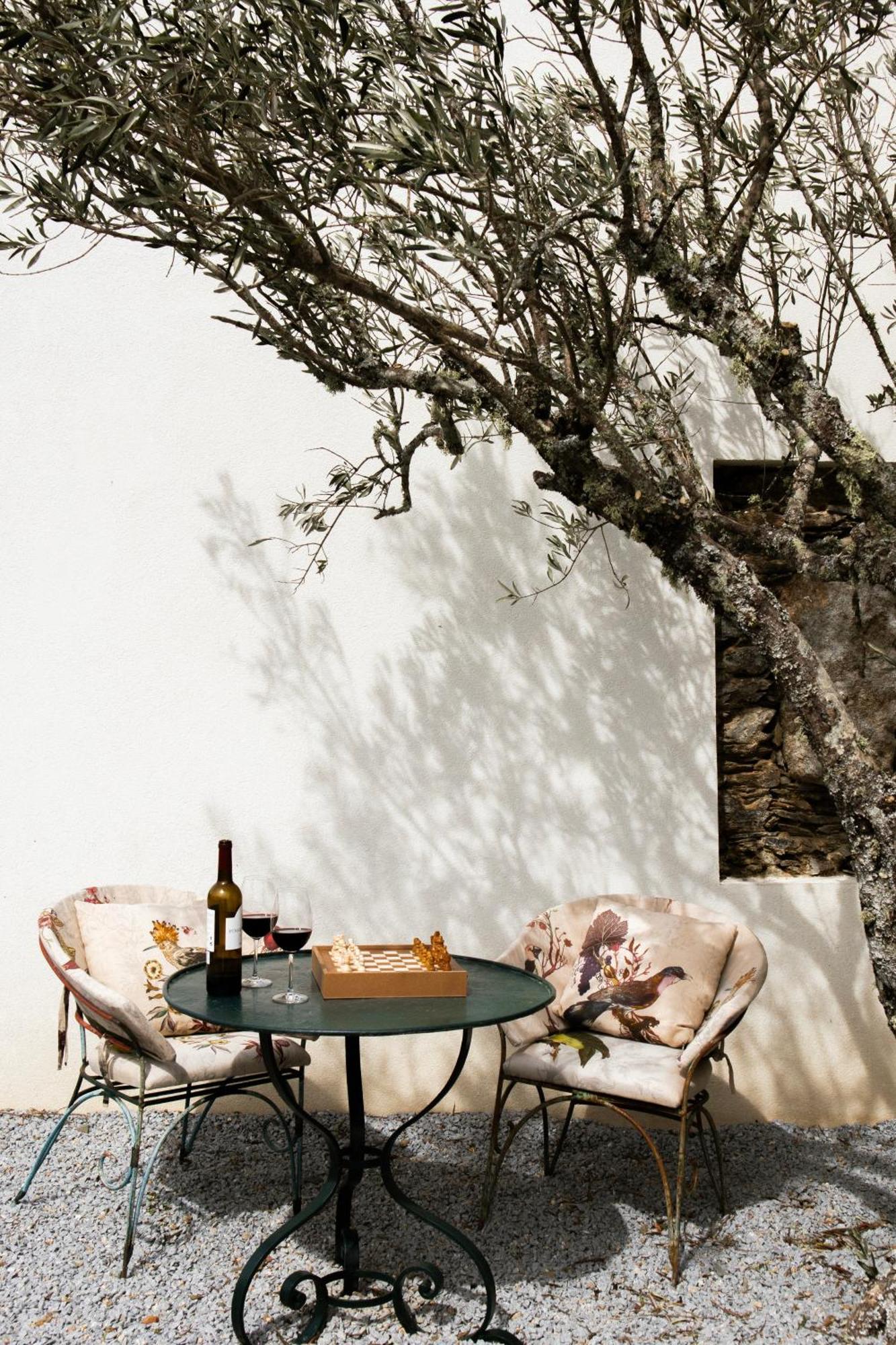 Casa Do Santo - Wine & Tourism Villa Provesende Exteriör bild