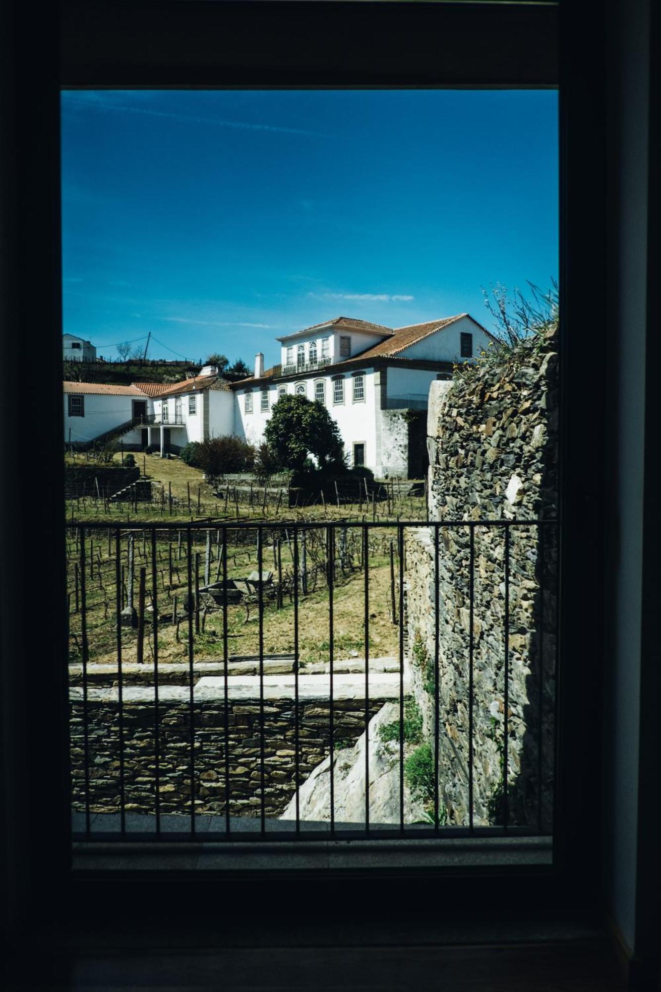 Casa Do Santo - Wine & Tourism Villa Provesende Exteriör bild