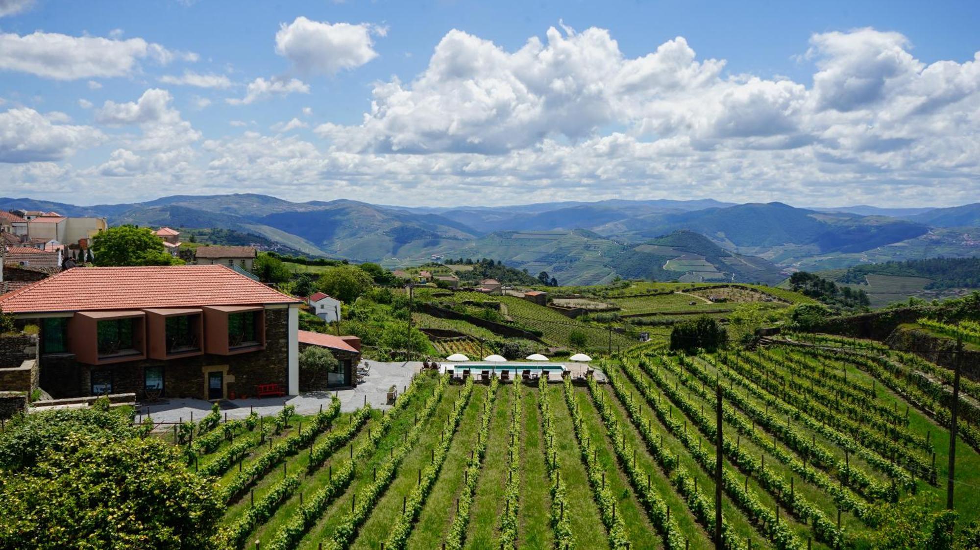 Casa Do Santo - Wine & Tourism Villa Provesende Exteriör bild